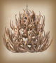 Deer Antler Tiered Chandelier