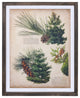 Framed Pine Print, 4-Piece Set