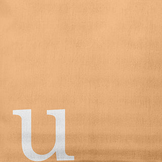 18" x 18" Modern Monogram Indoor/Outdoor Polyester Throw Pillow, Pale Gold