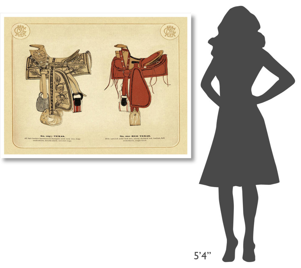 "Saddles and Tack: Texas and Red Texas Saddles" Paper Print, 50"x38"