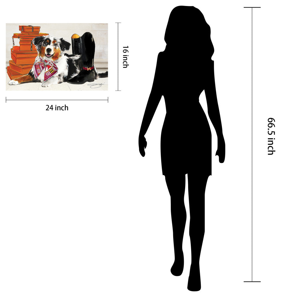 "Border Collie" Dog Wall Art Print Frameless Free Floating Tempered Glass Panel