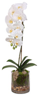 Real Touch White Phalaenopsis Orchid With Sleek Glass Vase