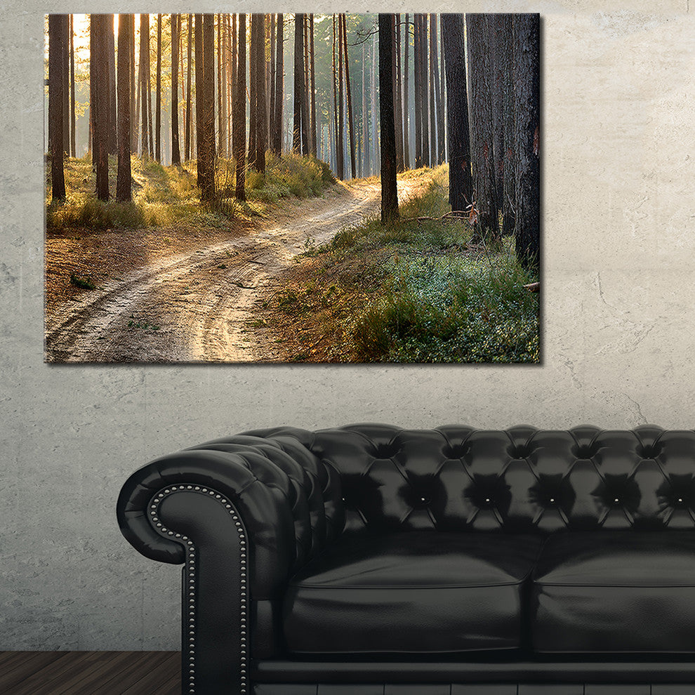 "Road in Thick Morning Forest" Landscape Canvas Photo Print, 40"x30"