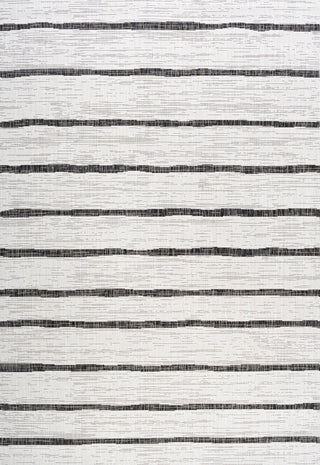 Colonia Berber Stripe Indoor/Outdoor Area Rug