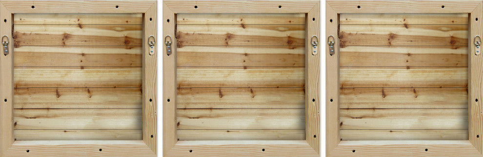 Bite and Fight T-Rex Triptych, 3-Piece Set, 24x24 Panels