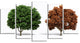 Green and Red 3D Fractal Trees, Contemporary Wall Art Canvas, 60"x32", 5 Panels