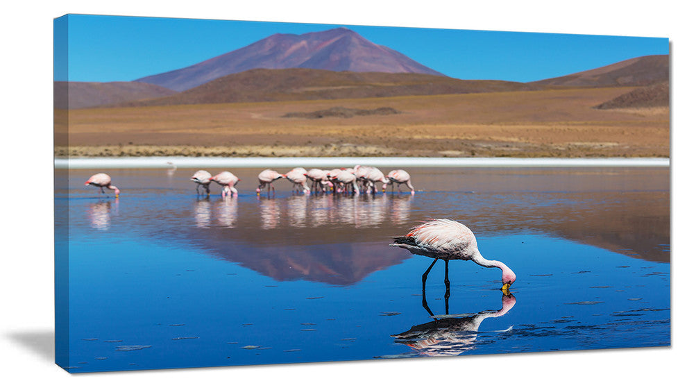 Beautiful Flamingos in Bolivia, African Landscape Canvas Art Print, 32"x16"