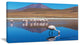 Beautiful Flamingos in Bolivia, African Landscape Canvas Art Print, 32"x16"
