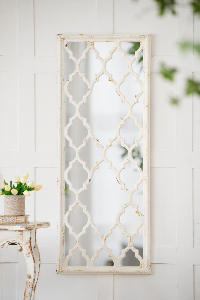Gewnee 24"x60" Distressed White Floor Mirror, Full Body Mirror