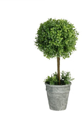 17" Artificial Boxwood Topiary in Decorative Distressed Gray Paper Mache Pot