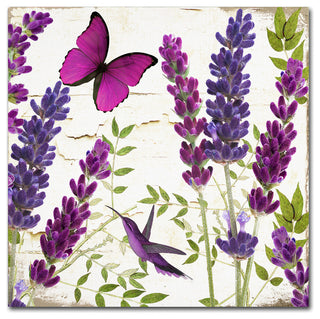 Color Bakery 'Lavender II' Canvas Art, 18x18