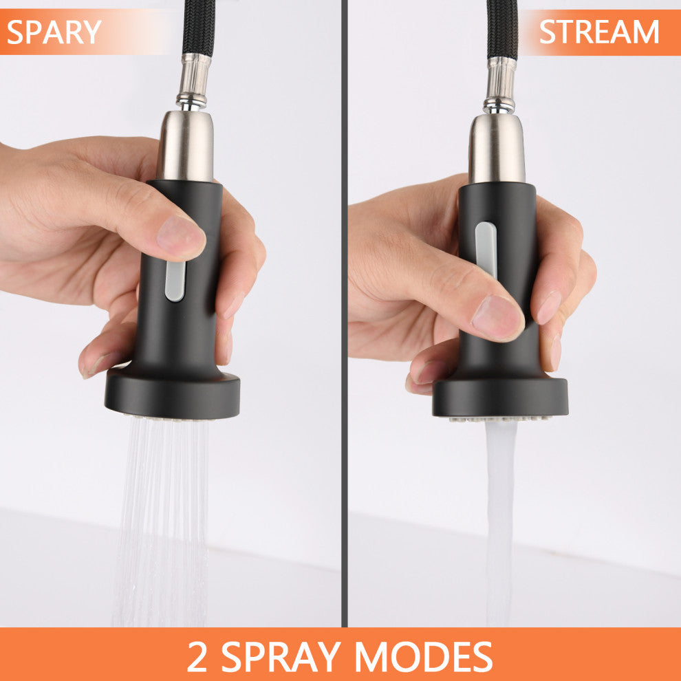 Wellfor Single Handle Kitchen Sink Faucet With Pull Down Sprayer