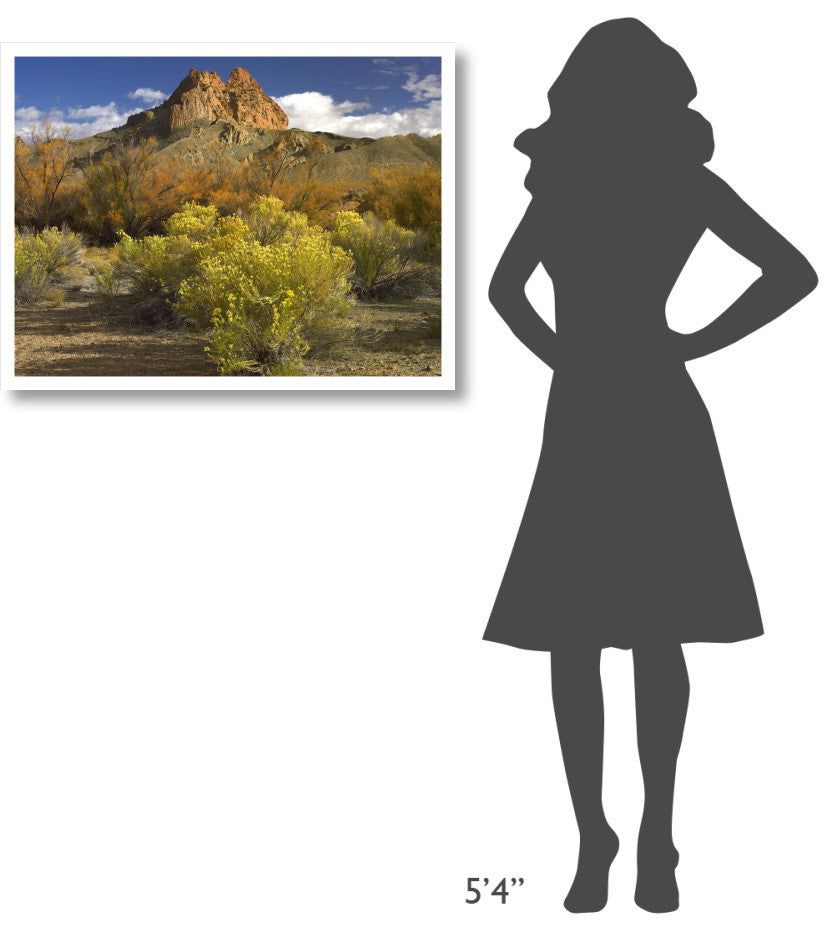"Mitten Rock, New Mexico" Digital Paper Print by Tim Fitzharris, 34"x26"