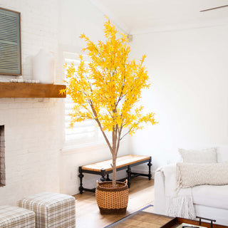 Lifestyle scene showing the product in a bright room with window light.