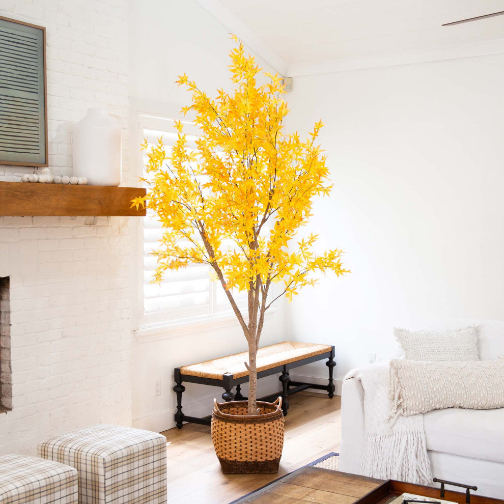 Lifestyle scene showing the product in a bright room with window light.