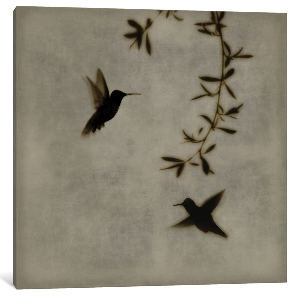 "Dance In Flight I" by Chris Donovan, Canvas Print, 37"x37"