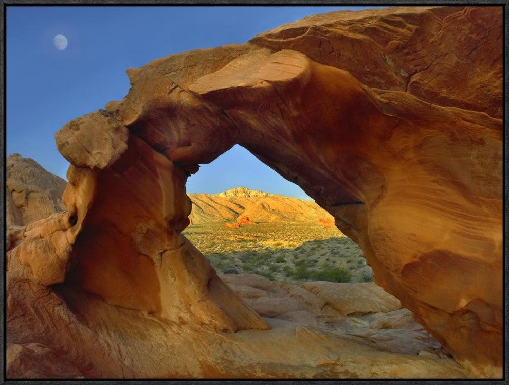 Arch Rock and Moon, Valley Of Fire State Park, Nevada, 32"x24"