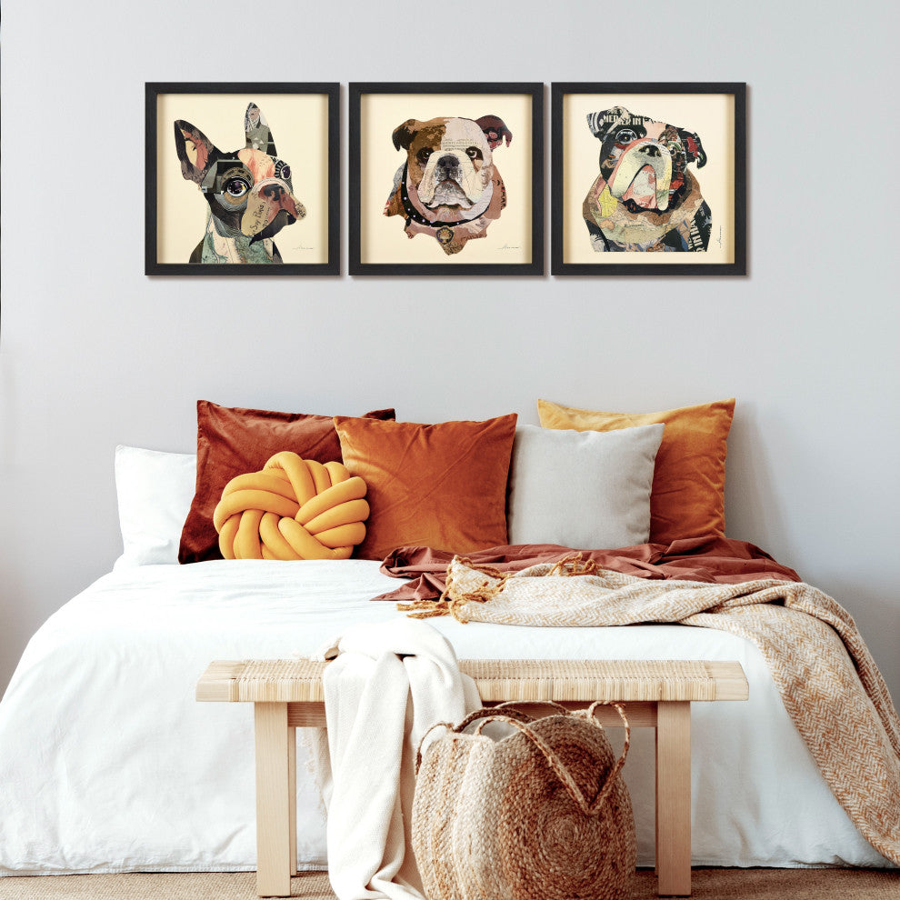 Bulldogs Close Up Dimensional Collage Wall Art Framed Under Glass