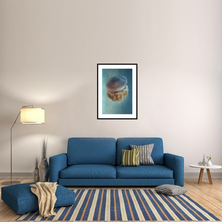 "Jellyfish Phylorhiza Punctata" Framed Digital Print by Yaron Halevy, 32x44"