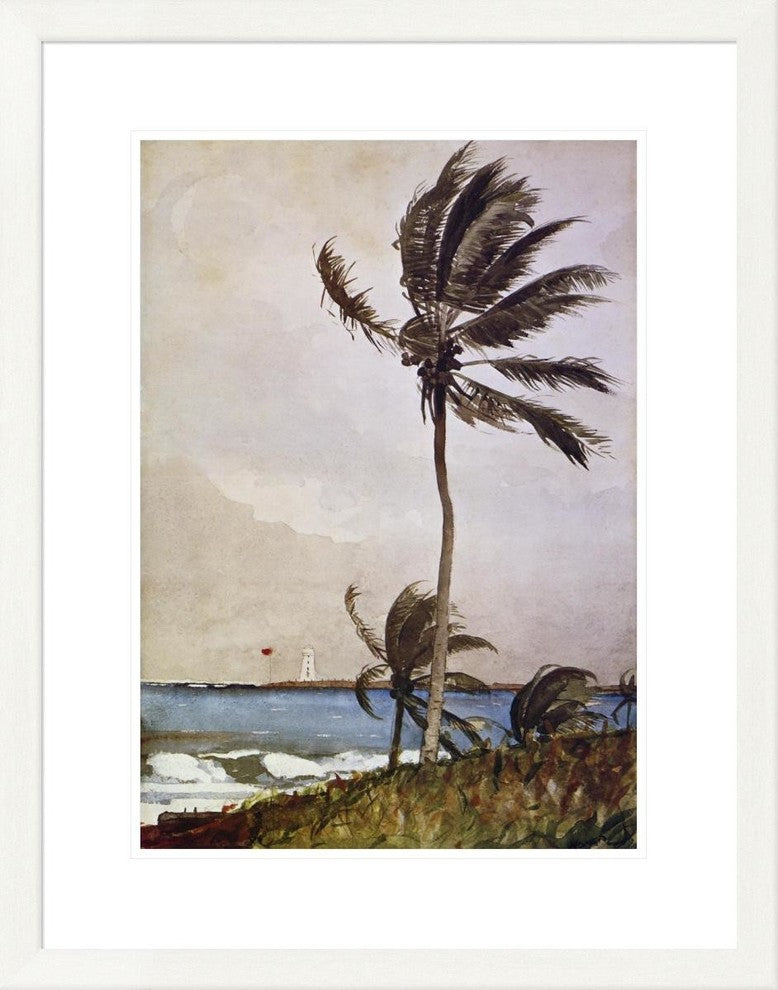 "Palm Tree Nassau" Framed Digital Print by Winslow Homer, 24x31"