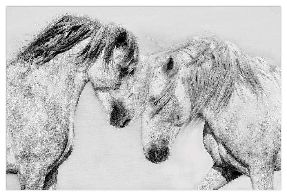 "Caballo Blanco Equine" Frameless Floating Tempered Glass Panel Graphic Wall Art