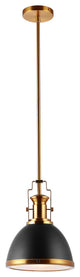 Homer Metal/Glass LED Flush Mount, Black/Brass Gold, Width: 10"
