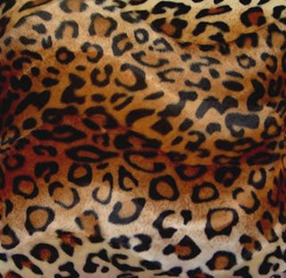 Leopard Print Loveseat