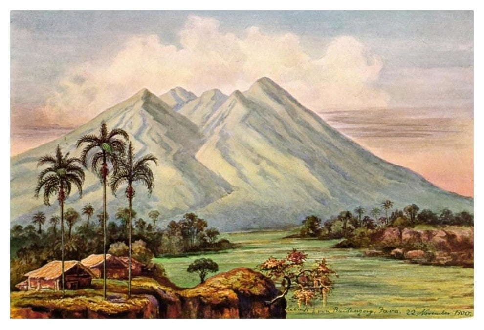 "Der Vulkan Salak bei Buitenzorg" Digital Paper Print by Ernst Haeckel, 20"x14"