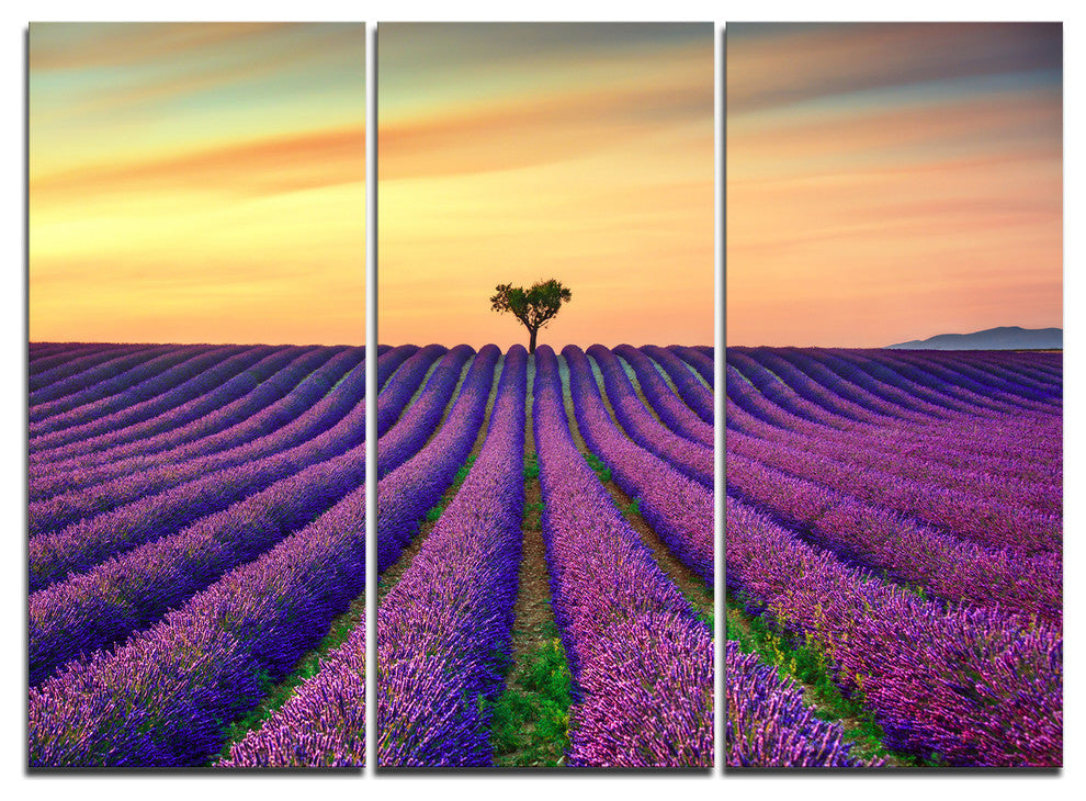 "Lavender Flower Rows in Provence" Metal Wall Art, 3 Panels, 36"x28"