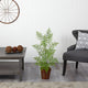 3' Ruffle Fern Artificial Tree, Basket