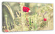 Meadow with Wild Poppy Flowers, Large Flower Canvas Art Print, 32"x16"