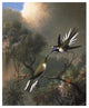 "Two Sun Gems On A Branch" Digital Paper Print by Martin Johnson Heade, 20"x24"