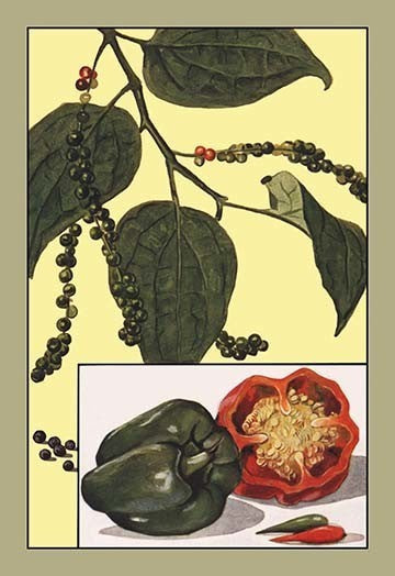 Peppers- Gallery Wrapped Canvas Art 28" x 42"