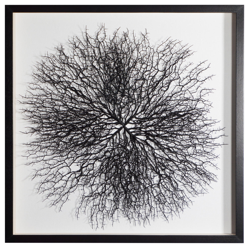 Tree Roots Shadow Box Wall Decor