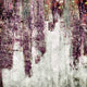 "Purple Grunge One" Canvas, 30"x30"
