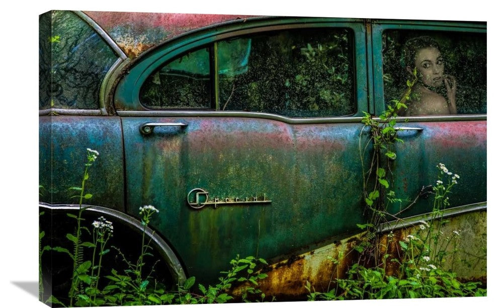 "Special Girl" Stretched Canvas Giclee by Tony Mearman, 30"x20"