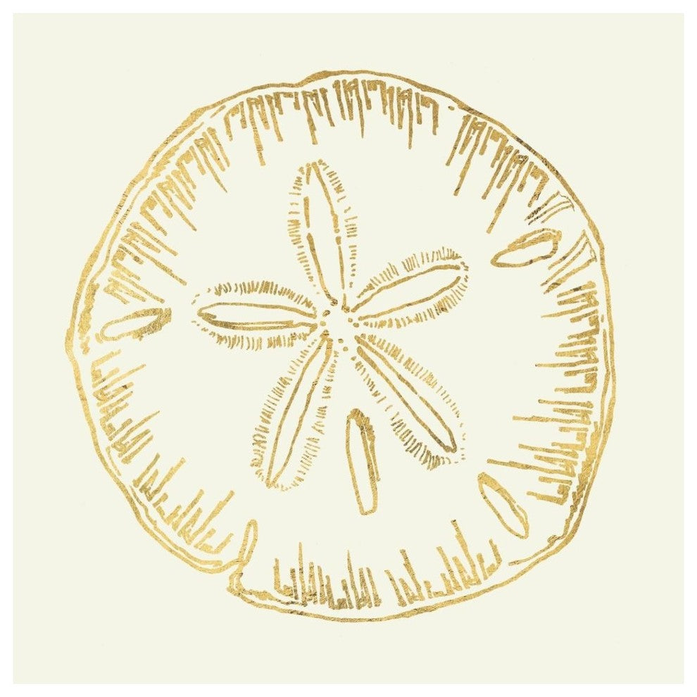 "Coastal Breeze Shell Sketches IV" Paper Print by Anne Tavoletti, 42"x42"