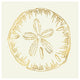 "Coastal Breeze Shell Sketches IV" Paper Print by Anne Tavoletti, 42"x42"