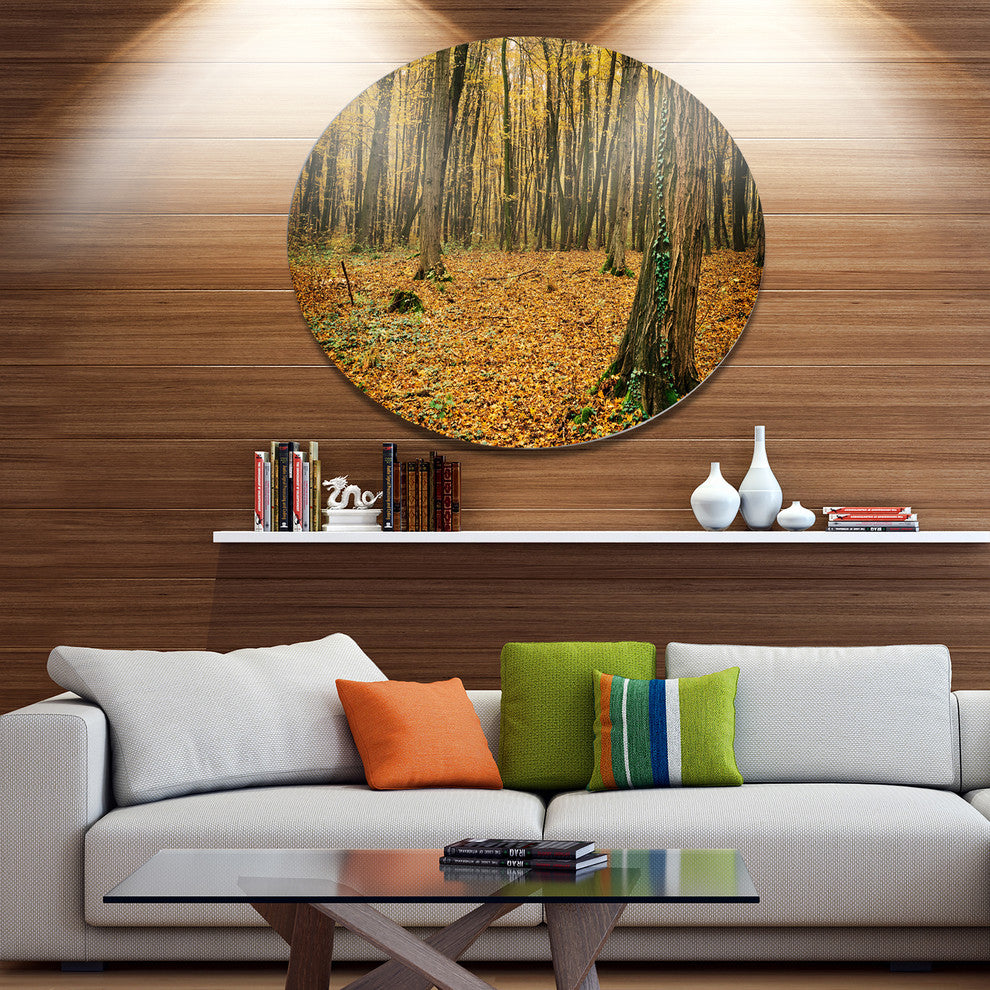 Beautiful Autumn Forest In Mountains, Forest Disc Metal Wall Art, 23"