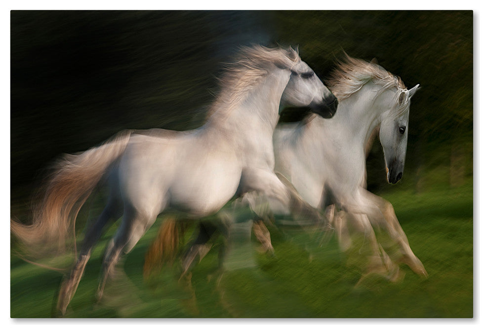 Milan Malovrh 'Gallop For Two' Canvas Art, 12x19
