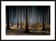 "Mystic Wood" Framed Digital Print by Carsten Meyerdierks, 38"x28"