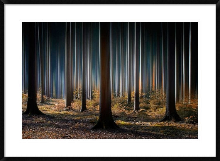 "Mystic Wood" Framed Digital Print by Carsten Meyerdierks, 38"x28"