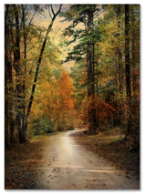 Jai Johnson 'Autumn Forest 4' Canvas Art, 19 x 14