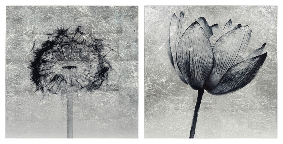 Dandelion and Tulip Diptych Wall Art Reverse Print Tempered Glass With Silver Le