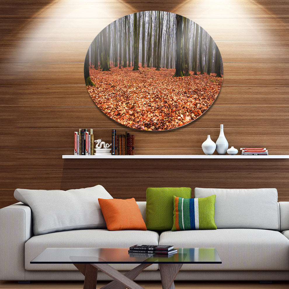 Enchanted And Magical Fall Forest, Forest Disc Metal Artwork, 23"