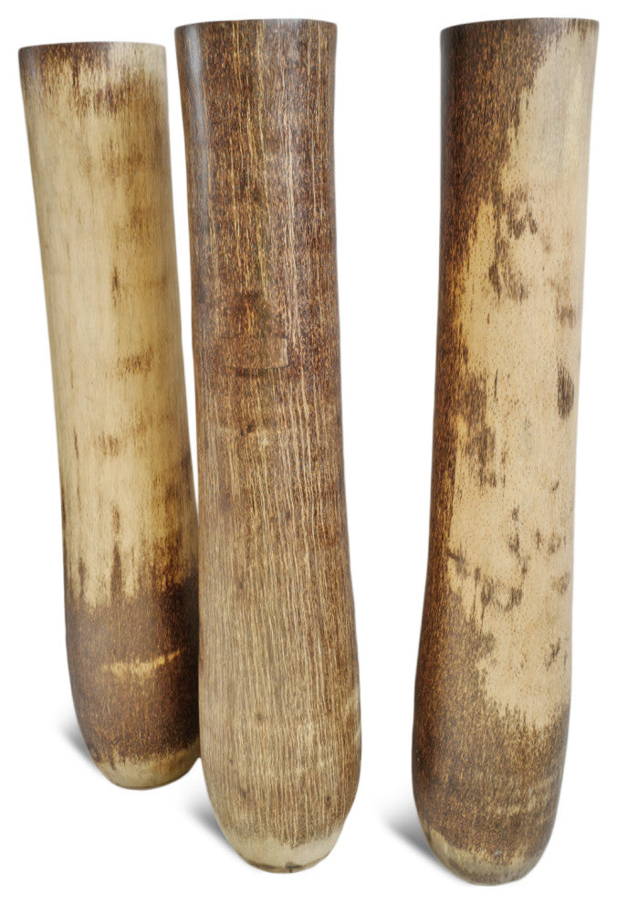 Natural Coconut Palm Urn