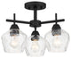 Minka Lavery Camrin 3 Light Semi Flush / Chandelier Coal