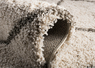 Safavieh  Hudson Shag Collection SGH281 Rug