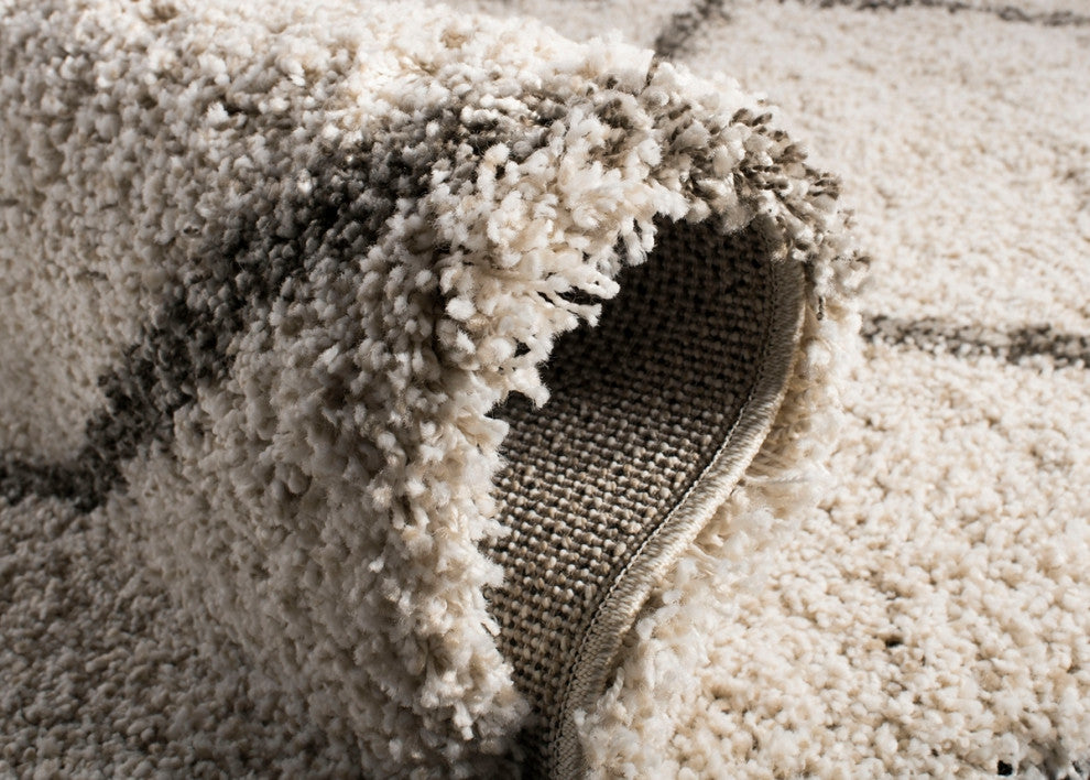 Safavieh  Hudson Shag Collection SGH281 Rug