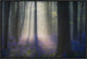 Velvet Light, 24"x16"